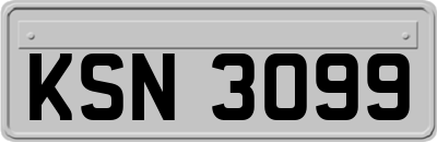 KSN3099