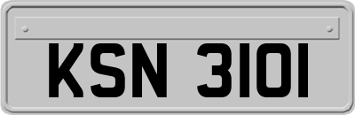 KSN3101