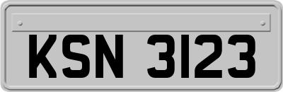 KSN3123