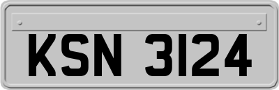 KSN3124