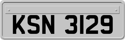 KSN3129