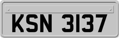 KSN3137