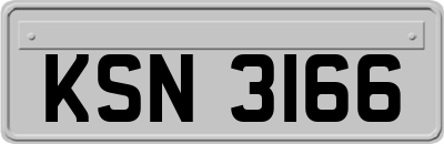 KSN3166