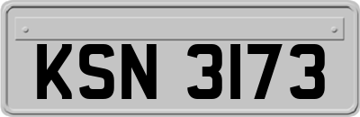KSN3173