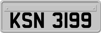 KSN3199