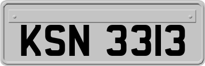 KSN3313