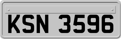 KSN3596
