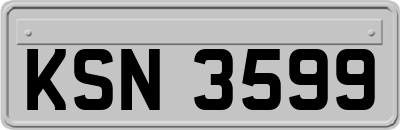 KSN3599