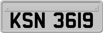 KSN3619