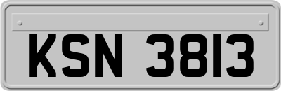 KSN3813