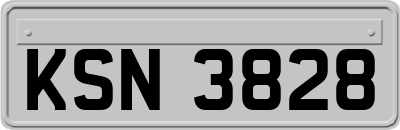 KSN3828