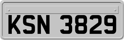 KSN3829