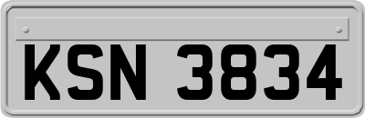 KSN3834