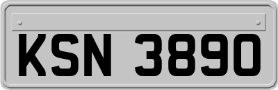 KSN3890