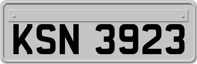 KSN3923