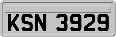 KSN3929
