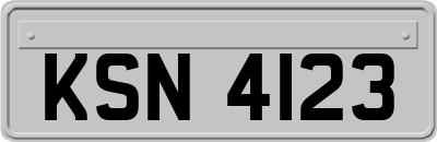 KSN4123