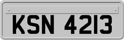KSN4213
