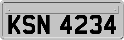 KSN4234