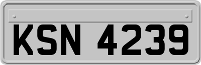 KSN4239