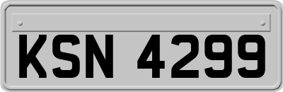 KSN4299