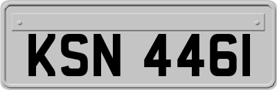 KSN4461