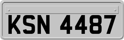 KSN4487