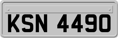 KSN4490