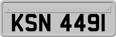 KSN4491