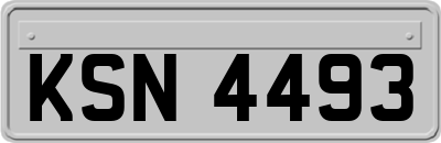 KSN4493