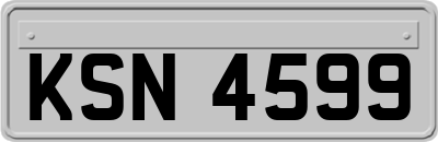 KSN4599