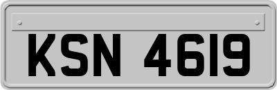KSN4619