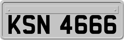 KSN4666