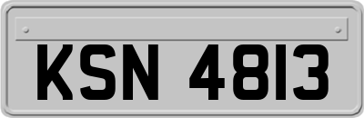 KSN4813