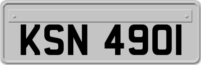 KSN4901