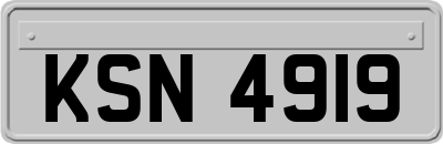 KSN4919