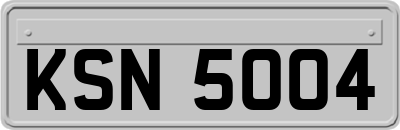 KSN5004