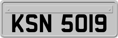 KSN5019