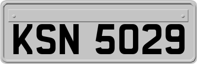 KSN5029
