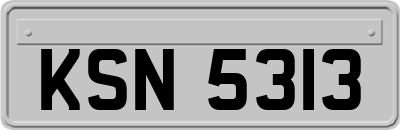 KSN5313