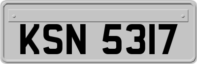 KSN5317