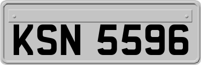 KSN5596