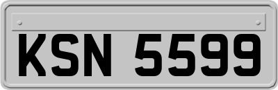 KSN5599