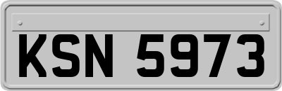 KSN5973