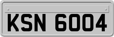 KSN6004