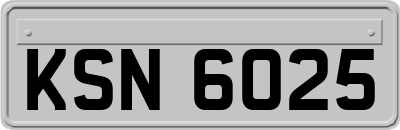 KSN6025