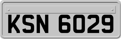 KSN6029