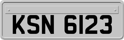 KSN6123