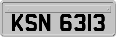 KSN6313