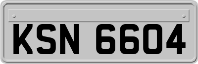 KSN6604